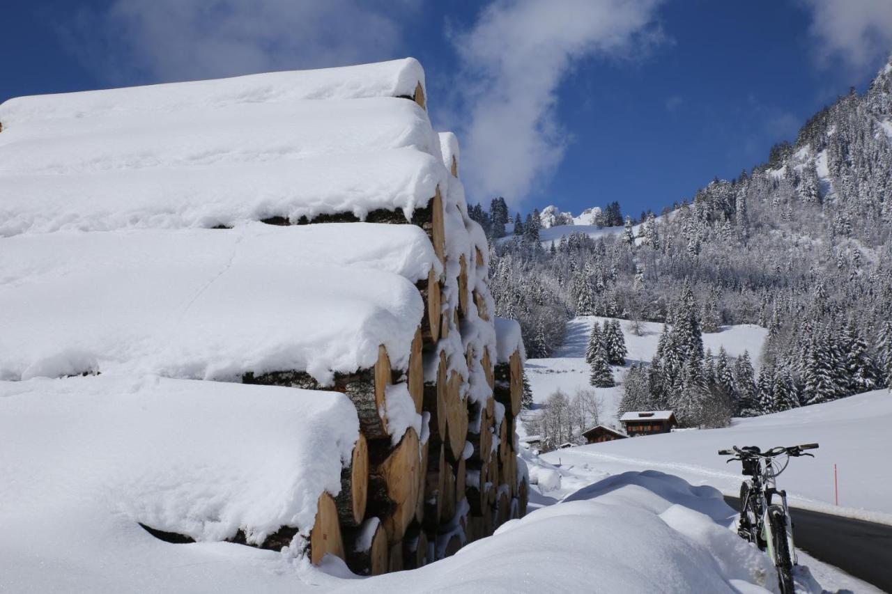 Apartament Torgon Rustig Wandel En Skigebied In Portes Du Soleil Zewnętrze zdjęcie