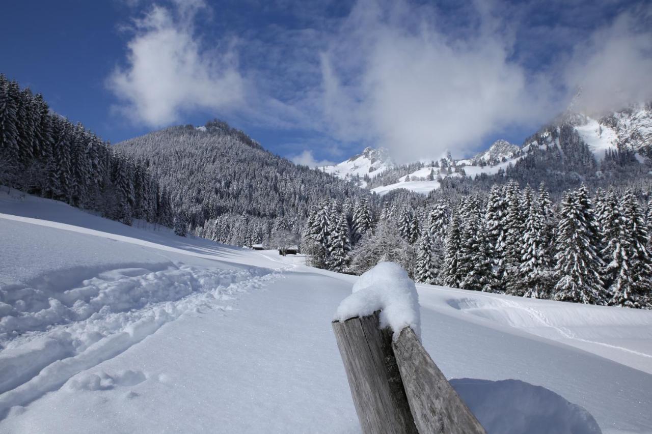 Heerlijke Wandel Of Ski Vakantie In Torgon Portes Du Soleil Zewnętrze zdjęcie