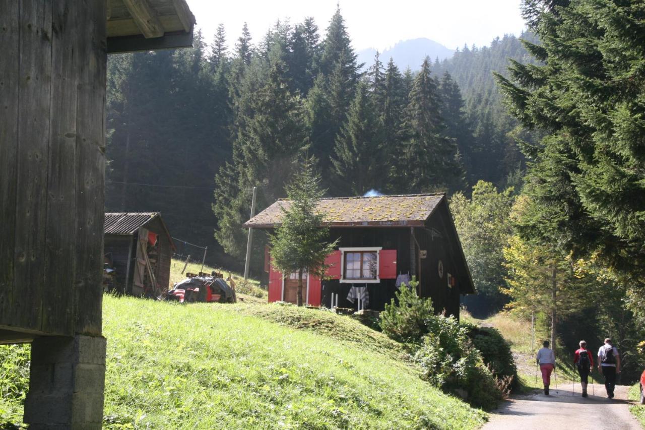 Heerlijke Wandel Of Ski Vakantie In Torgon Portes Du Soleil Zewnętrze zdjęcie