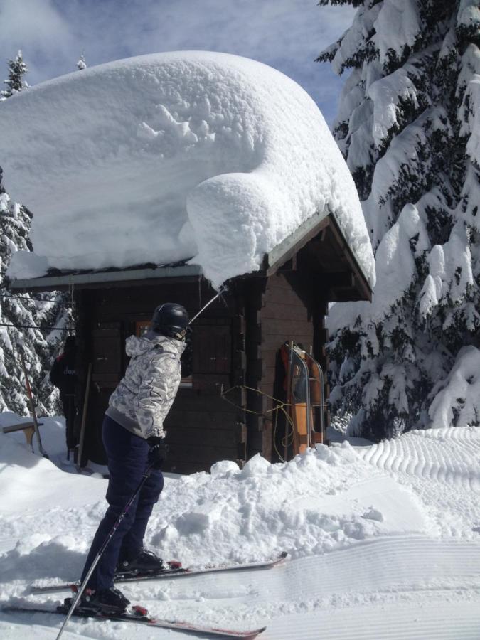 Heerlijke Wandel Of Ski Vakantie In Torgon Portes Du Soleil Zewnętrze zdjęcie