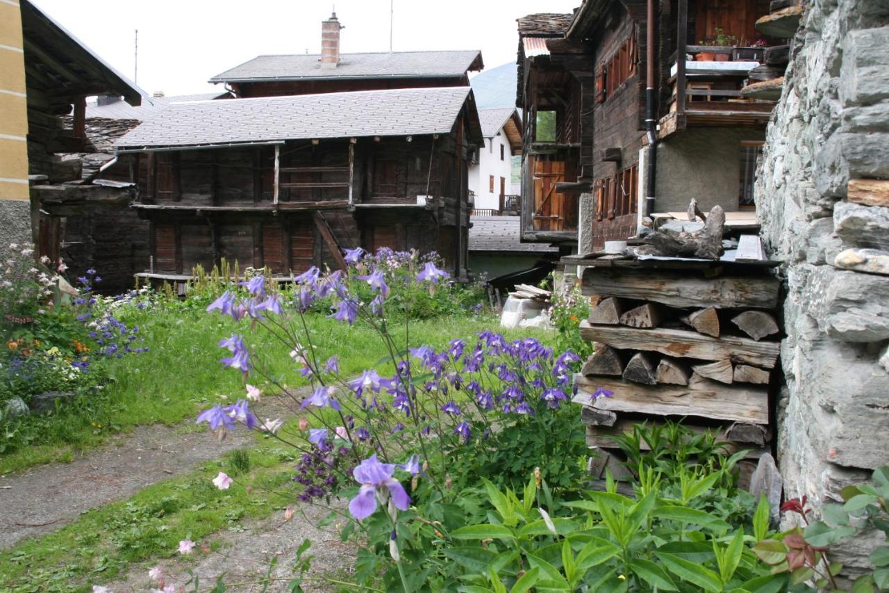 Apartament Torgon Rustig Wandel En Skigebied In Portes Du Soleil Zewnętrze zdjęcie