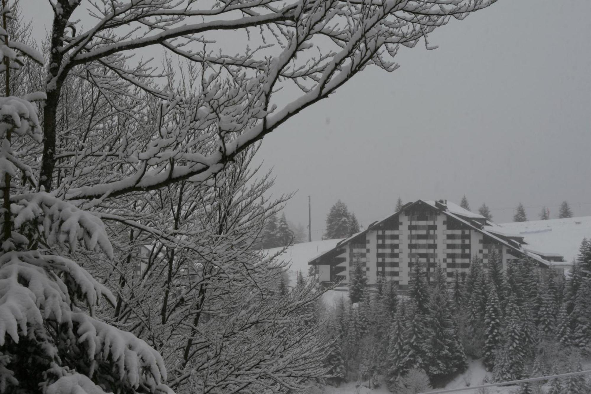 Apartament Torgon Rustig Wandel En Skigebied In Portes Du Soleil Zewnętrze zdjęcie